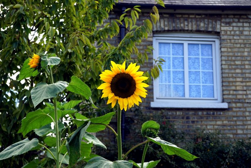 2018: L’année pour rénover votre maison !